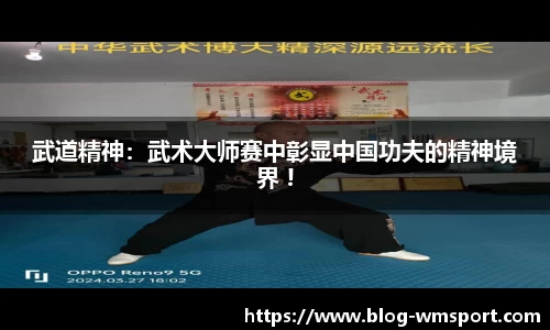 武道精神：武术大师赛中彰显中国功夫的精神境界 !